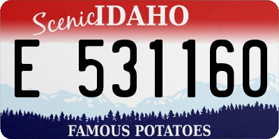 ID license plate E531160