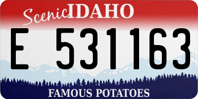 ID license plate E531163