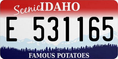 ID license plate E531165