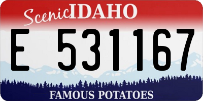 ID license plate E531167
