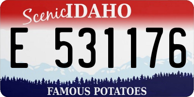 ID license plate E531176