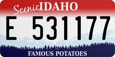 ID license plate E531177