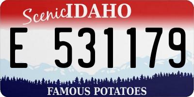 ID license plate E531179