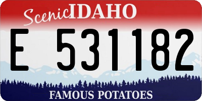 ID license plate E531182