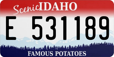 ID license plate E531189
