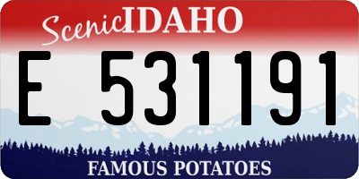 ID license plate E531191