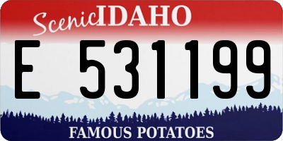 ID license plate E531199