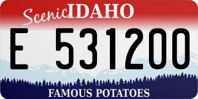 ID license plate E531200