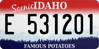 ID license plate E531201