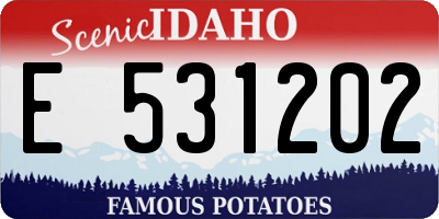ID license plate E531202