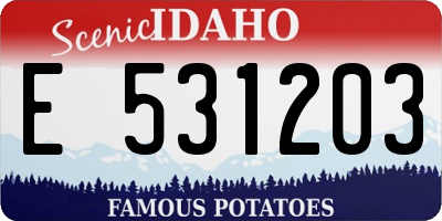 ID license plate E531203