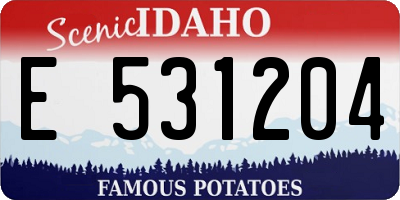 ID license plate E531204