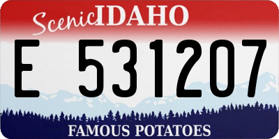 ID license plate E531207