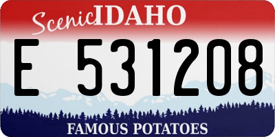 ID license plate E531208