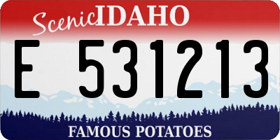 ID license plate E531213