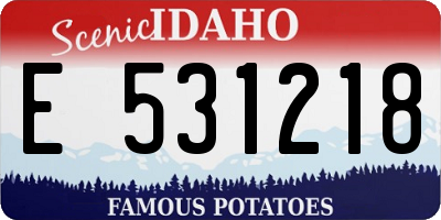 ID license plate E531218
