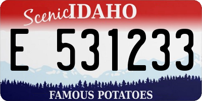 ID license plate E531233