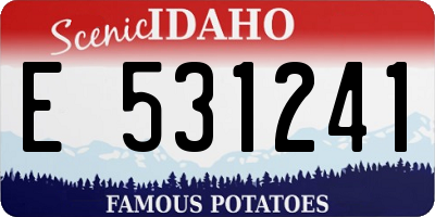 ID license plate E531241