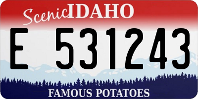 ID license plate E531243