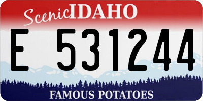 ID license plate E531244