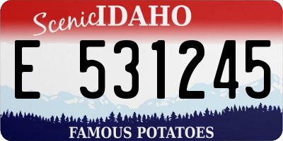 ID license plate E531245