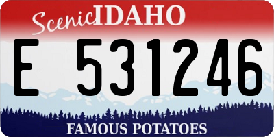 ID license plate E531246