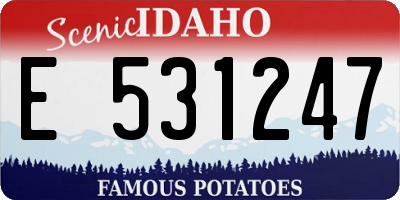 ID license plate E531247