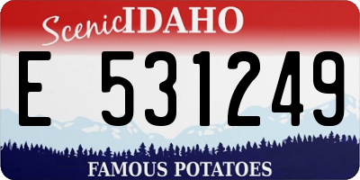ID license plate E531249