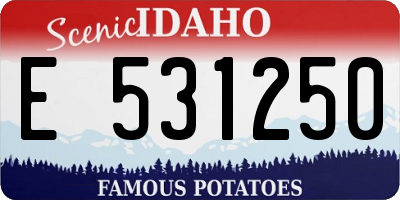ID license plate E531250