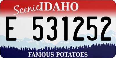 ID license plate E531252