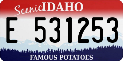 ID license plate E531253