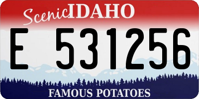 ID license plate E531256