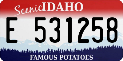 ID license plate E531258
