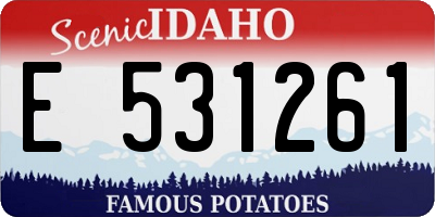 ID license plate E531261