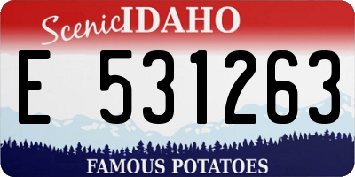 ID license plate E531263