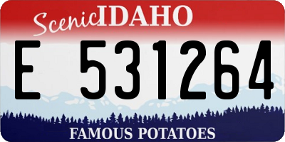 ID license plate E531264