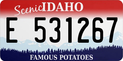 ID license plate E531267