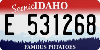 ID license plate E531268