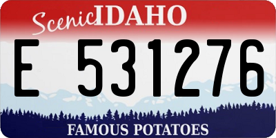 ID license plate E531276