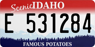 ID license plate E531284