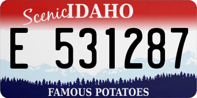 ID license plate E531287