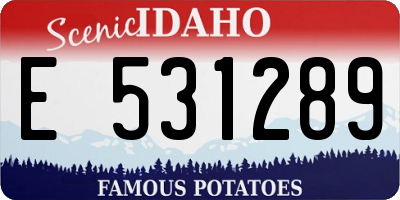 ID license plate E531289