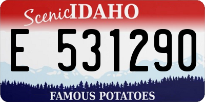 ID license plate E531290
