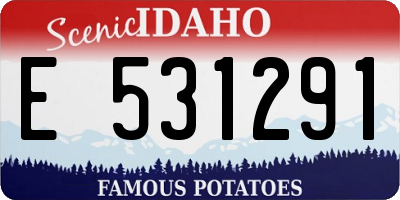 ID license plate E531291