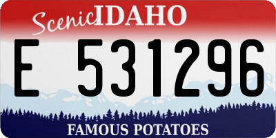 ID license plate E531296