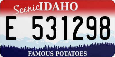 ID license plate E531298