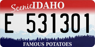 ID license plate E531301
