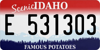 ID license plate E531303