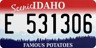 ID license plate E531306