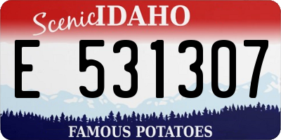ID license plate E531307